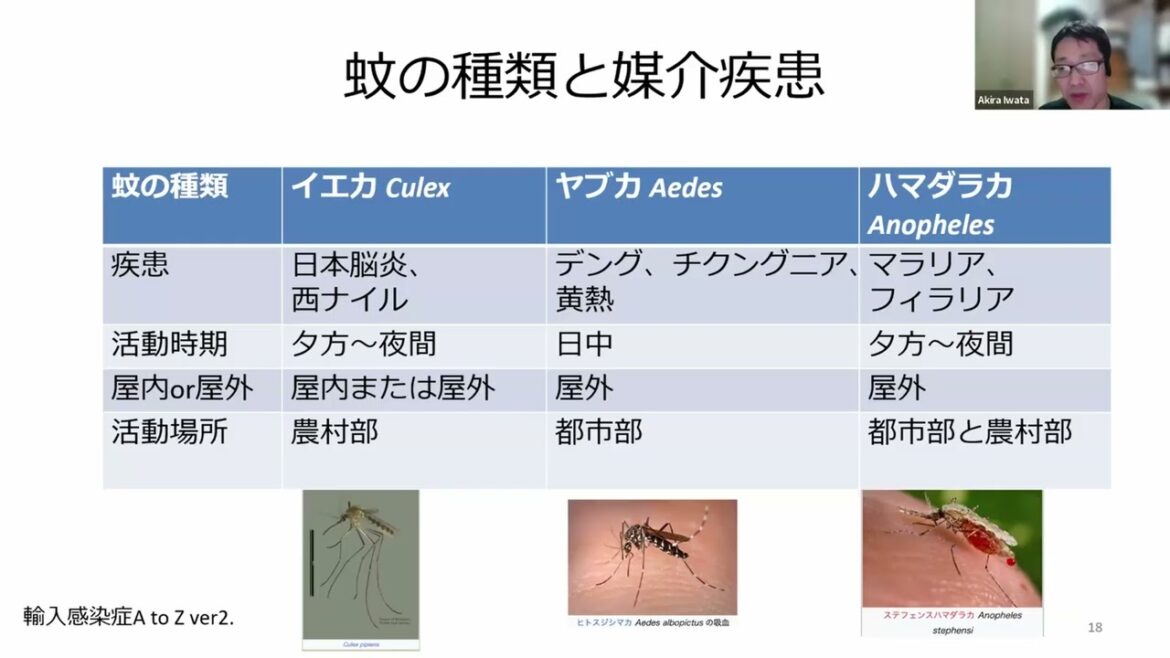 渡航者感染症の考え方（令和6年 第9回GRIDS）