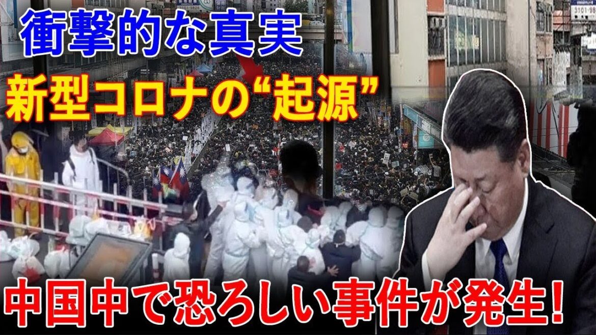 最新ニュース 2024年12月12日