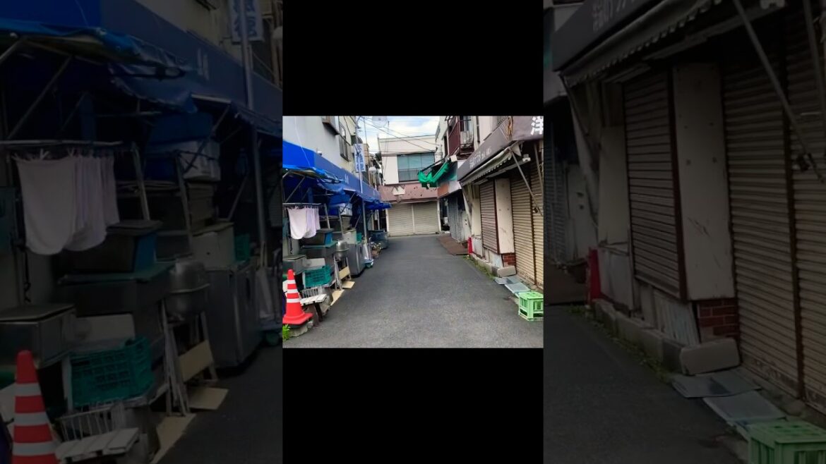 ⑧ 【新型コロナ感染者11週連続減少】緊急事態宣言下の「長房新栄商店街」を歩く【東京都では珍しいシャッター街】【新型コロナウイルス、変異株KP.3、喉の痛み、味覚障害注意】（東京都 八王子市）