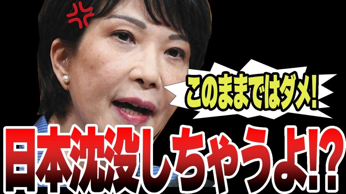 【高市早苗】間違った経済政策したら日本は沈没しちゃうよ！今の日本に必要な経済政策について熱く演説する高市早苗議員！