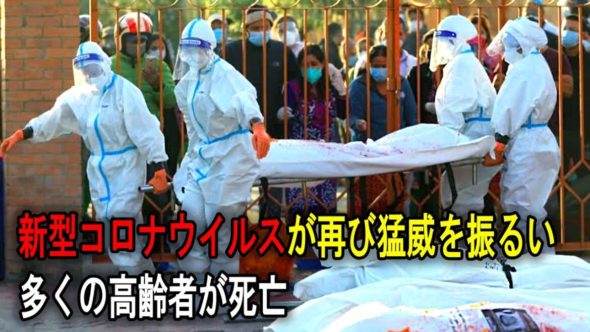 新型コロナウイルスが再び猛威を振るい、多くの高齢者が死亡