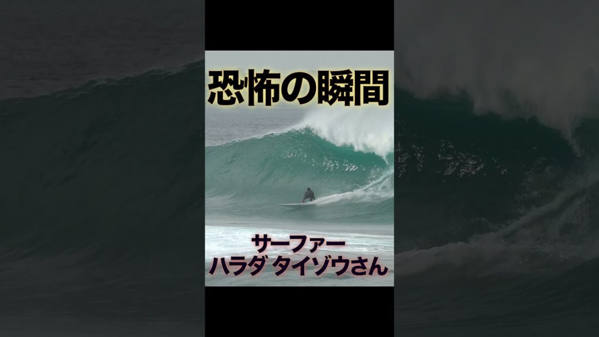 【ほぼ４階建て】分かる人にだけ分かるサーフィンのスリル #surfing #サーフィン #surf