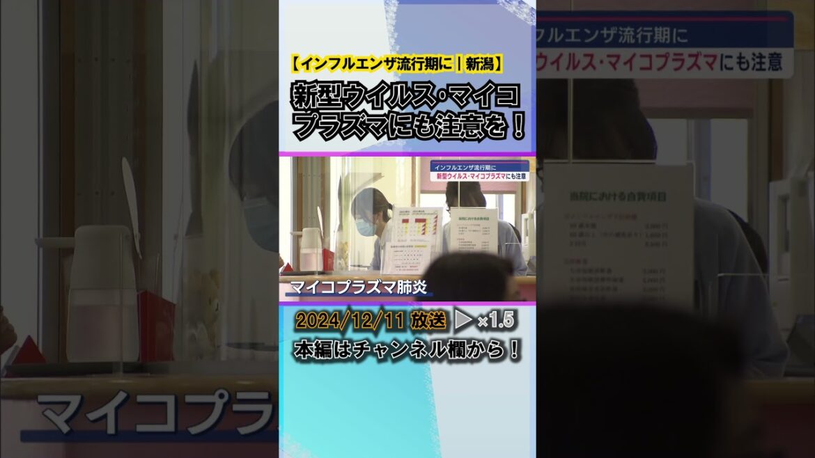 インフルエンザ流行期に、新型ウイルス･マイコプラズマにも注意を！ #news #short  #ux新潟テレビ21 #新潟