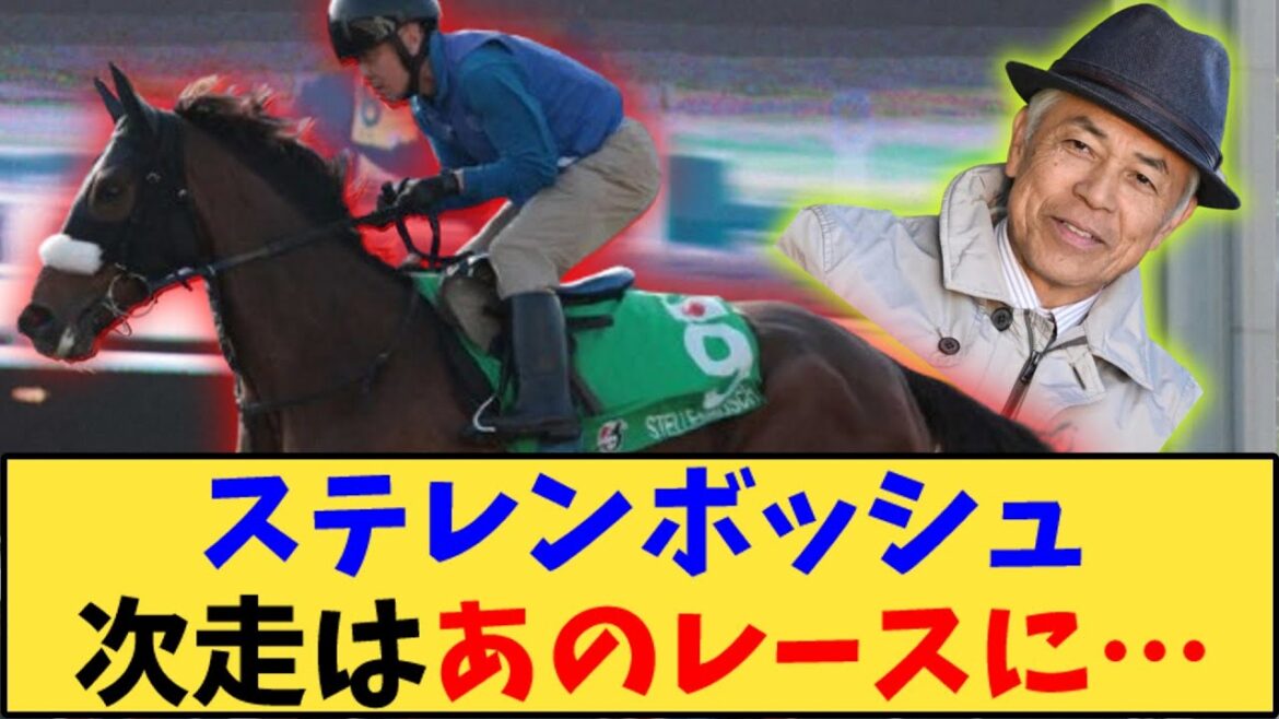 【競馬】「ステレンボッシュ、次走はまさかのあのレースに…」に対する反応【反応集】