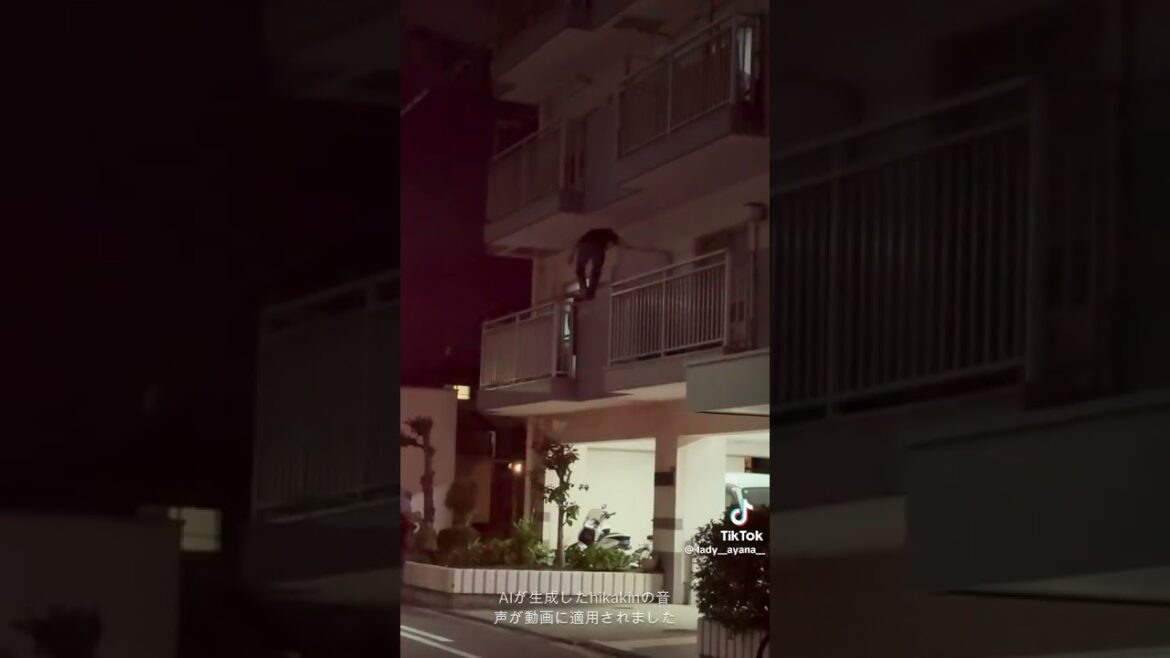 衝撃映像
