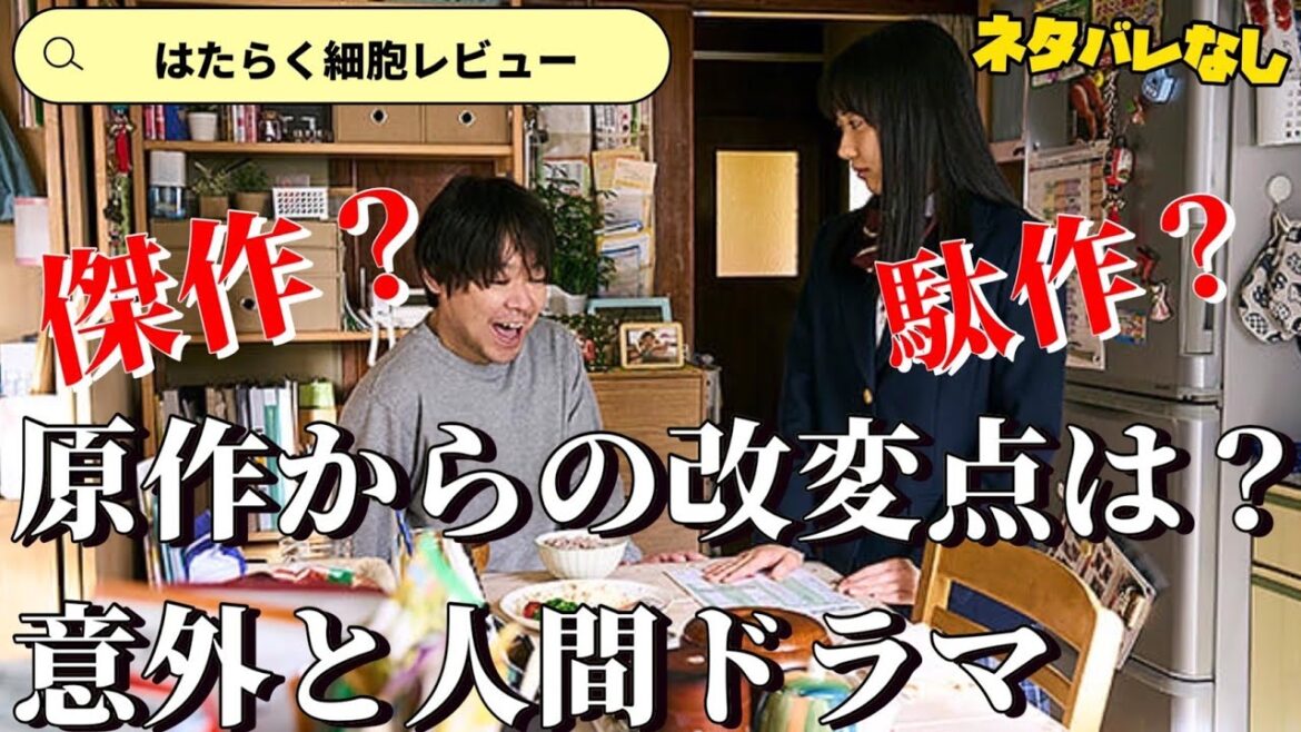 【はたらく細胞】大人気漫画原作の満を持しての実写映画化✨豪華キャスト集結🍿🎬📽見所紹介( * ॑꒳ ॑*)