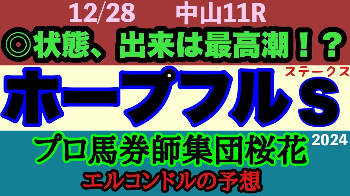 エルコンドル氏のホープフルステークス2024予想！！クロワデュノールは確かに強いかもしれない！？しかし初めての右回り！力差も不透明！何が起きるかわからないのが競馬！