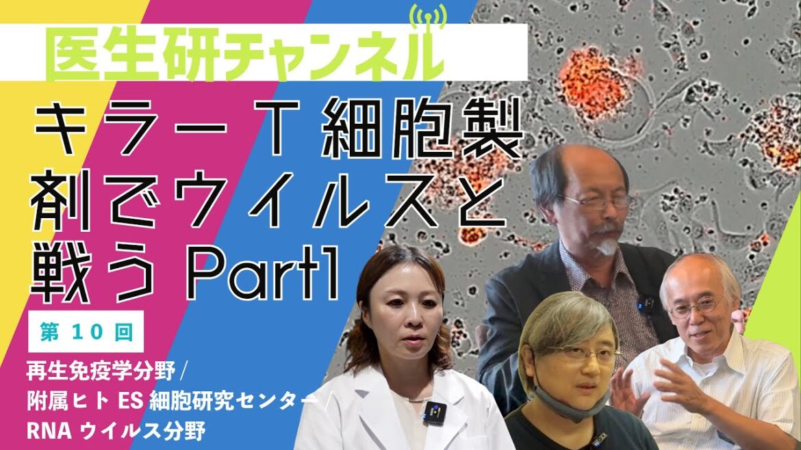 File10：キラーT細胞製剤でウイルスと戦う　再生免疫学分野
