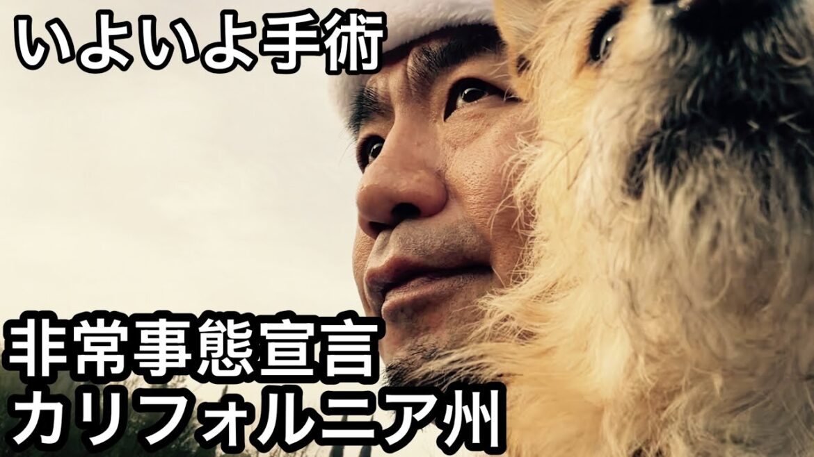 カリフォルニア非常事態宣言であの値段が高騰するのか/手術が失敗しないよう祈ってます