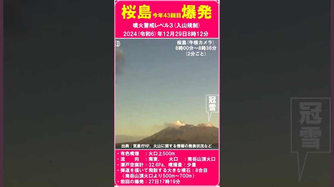【速報　『桜島　爆発！　今年43回目！』　有色噴煙：火口上500m　噴石：8合目】　噴火警戒レベル3　2024（令和6）年12月29日8時12分　#shorts #爆発 #桜島 #噴火警戒レベル3