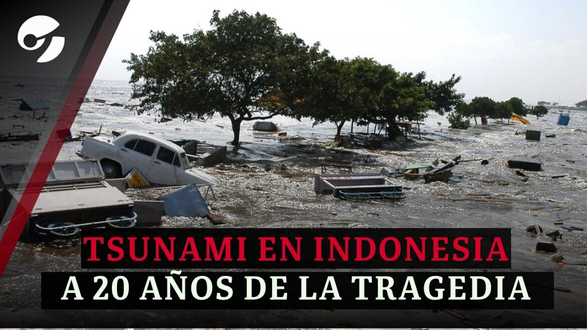A 20 AÑOS DEL TSUNAMI MÁS DEVASTADOR DE LA HISTORIA