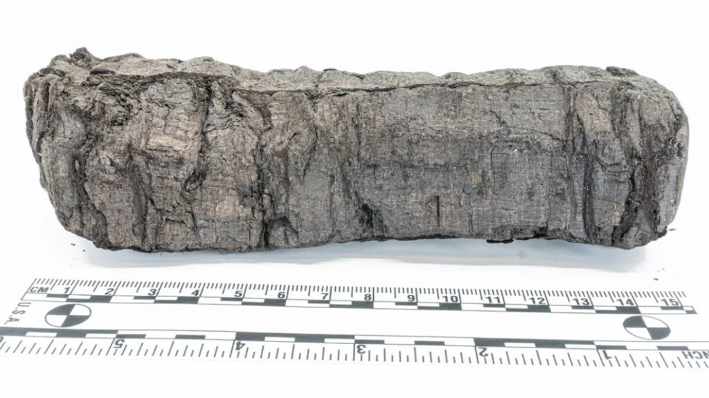 炭化した巻物の解読からナスカの地上絵発見、ＡＩで加速した科学的発見の数々 - CNN.co.jp
