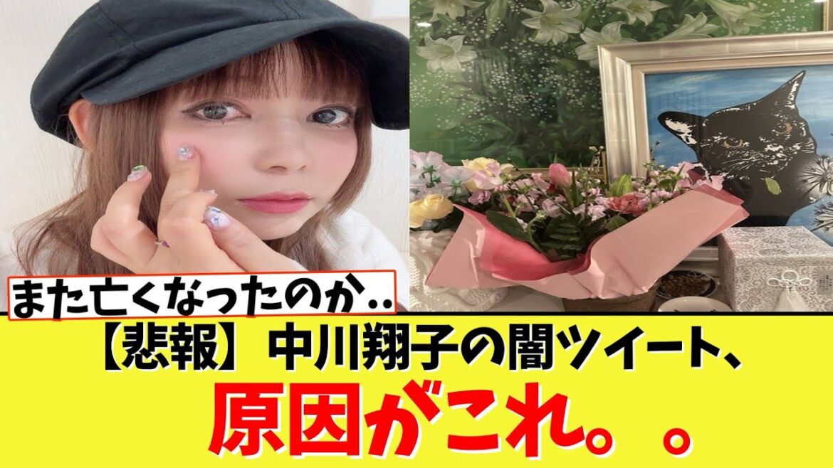 【悲報】中川翔子の闇ツイート、原因がこれ。。