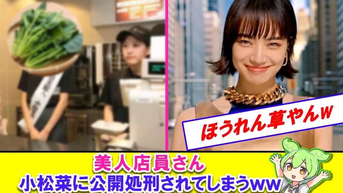 美人店員さん、小松菜奈に公開処刑されてしまうｗｗｗｗ【2ch】【ずんだもん】【ゆっくり解説】