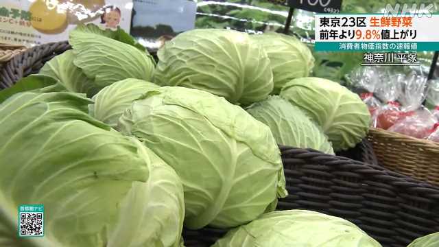 東京23区 生鮮野菜 前年比9.8%値上がり 速報値|NHK 首都圏のニュース 東京23区 生鮮野菜 前年比9.8%値上がり 速報値|NHK 首都圏のニュース