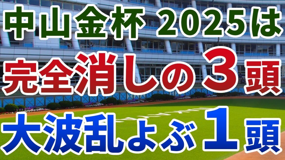 中山金杯2025 追い切り後【買いの1頭】公開！人気馬不安で波乱必至の組み合わせ！実は2000m合う、妙味最大の１頭は？