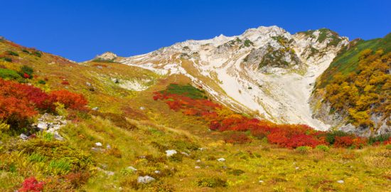 日本スキー 白馬に集まるインバウンドで最高益(日本株ストラテジー) – |QUICK Money World – 日本スキー 白馬に集まるインバウンドで最高益(日本株ストラテジー) - |QUICK Money World -