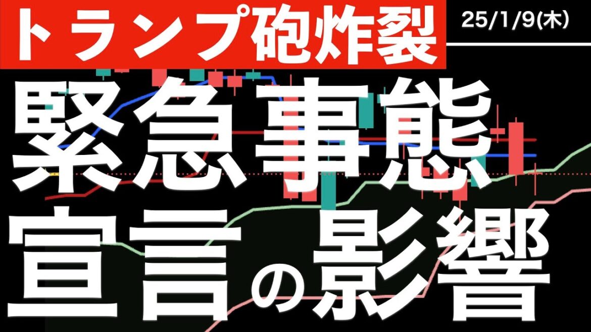 【トランプ砲炸裂】国家経済緊急事態宣言の検討によるマーケットの影響