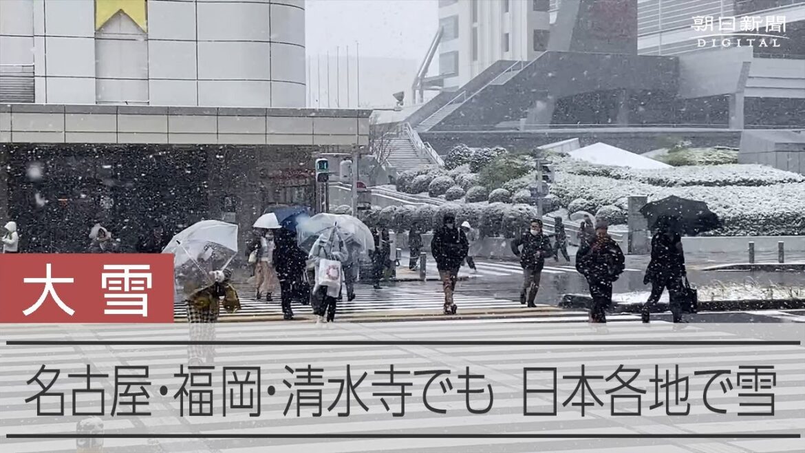 日本各地で積雪を記録　名古屋・福岡・清水寺でも降雪