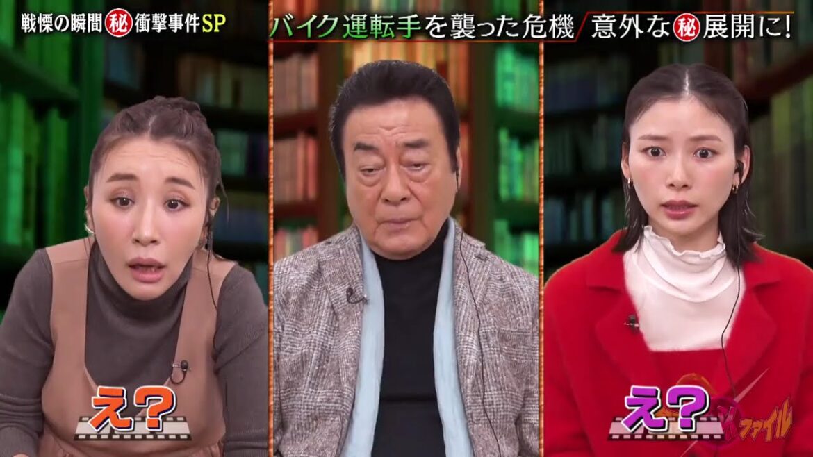 衝撃映像 ~ 世界が騒然！本当にあった(秘)衝撃ファイル