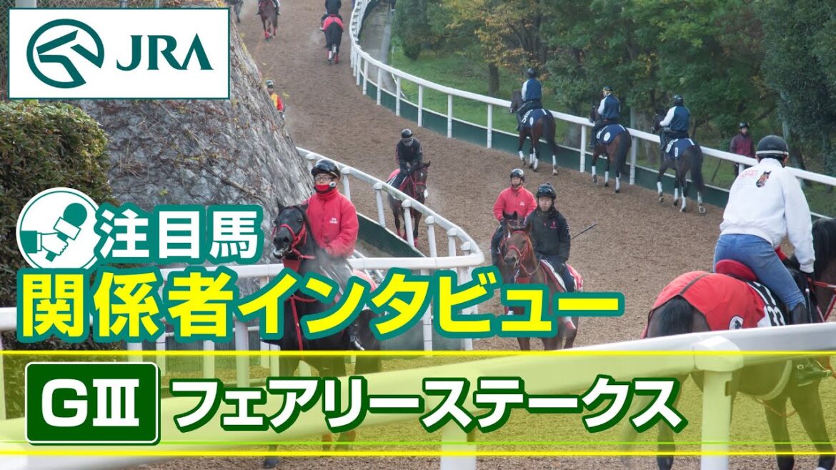 【注目馬 関係者インタビュー】2025年 フェアリーステークス｜JRA公式