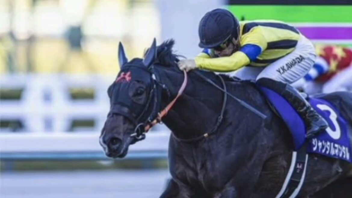 競馬・新春の大予想！　３歳牡馬クラシック――皐月賞、ダービーで戴冠を遂げるのは？