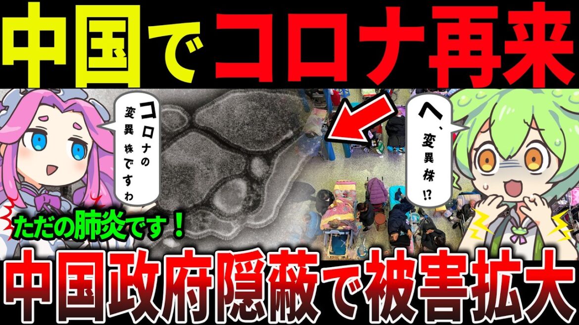 【衝撃再来】中国でコロナ変異株が拡大！？隠蔽体質が招く新たな感染爆発の危機...ビザ緩和政策【ずんだもん＆ゆっくり解説】