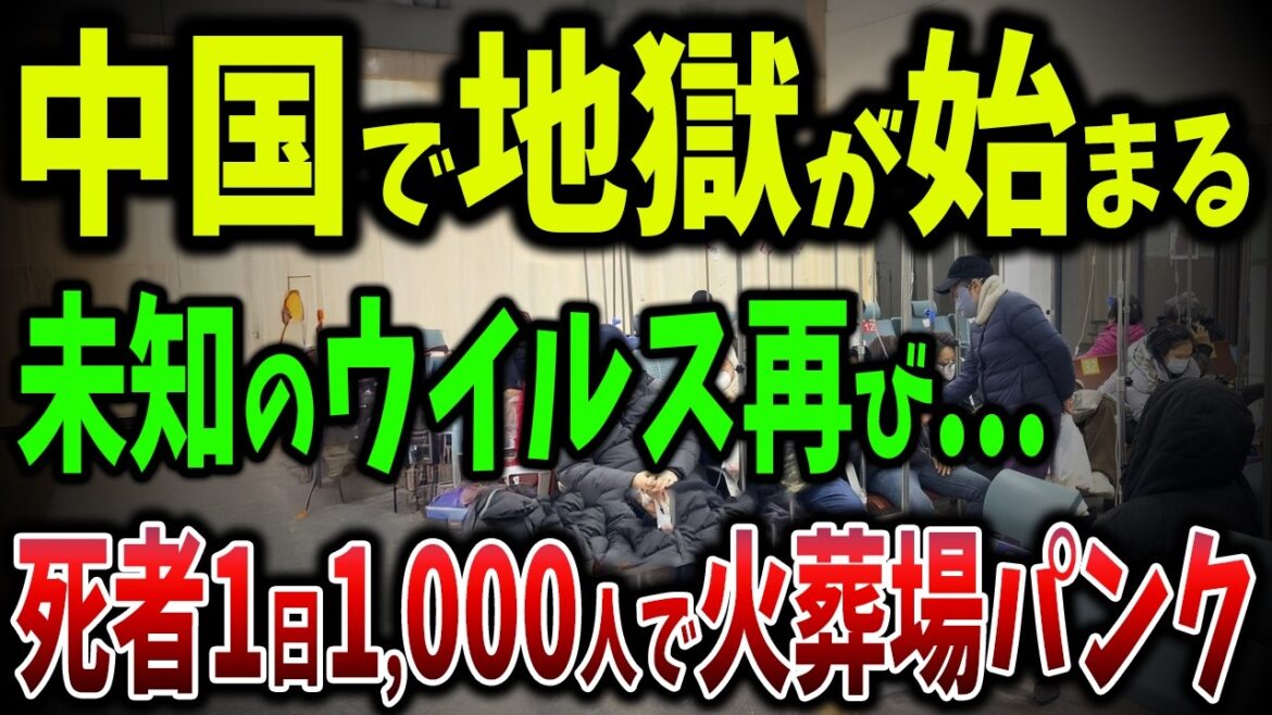 中国で未知のウイルスが猛威!1日2000人の患者殺到!火葬場がパンクで2週間待ち!病院は地獄絵図【ゆっくり解説】 中国で未知のウイルスが猛威!1日2000人の患者殺到!火葬場がパンクで2週間待ち!病院は地獄絵図【ゆっくり解説】