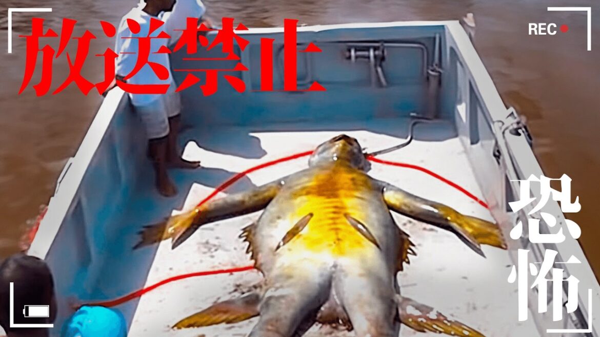 【放送禁止寸前】漁網を突き破る怪物の衝撃映像！戦慄の瞬間に頭皮が凍る...。水中から発見された20の驚愕生物