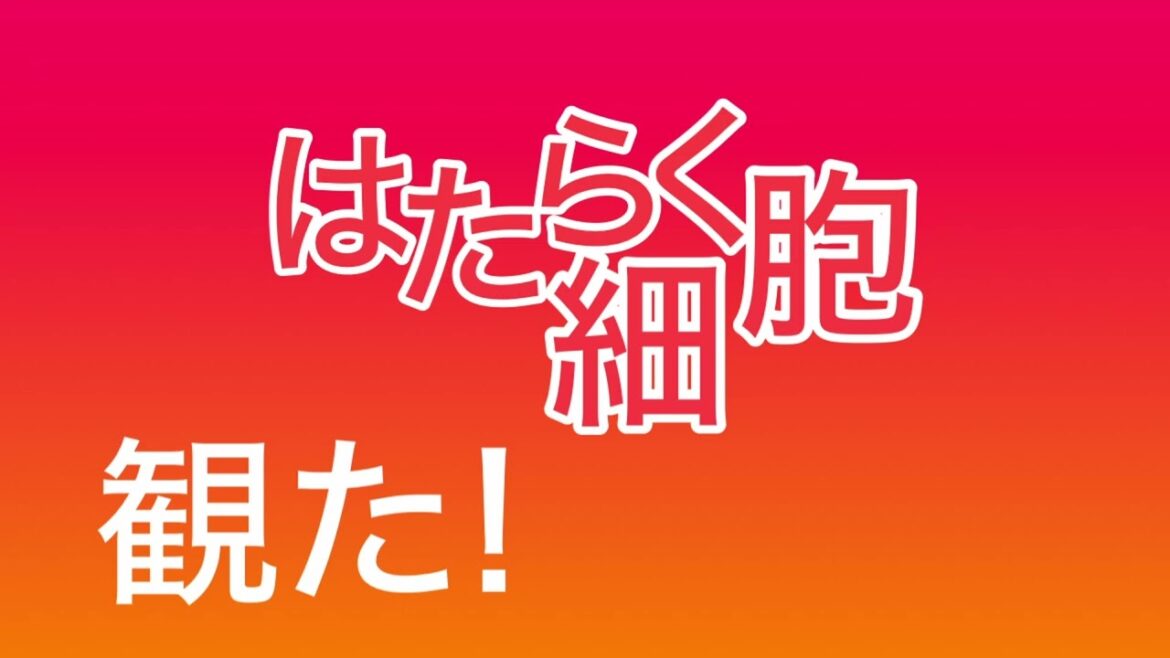 【感想】はたらく細胞の映画観た！