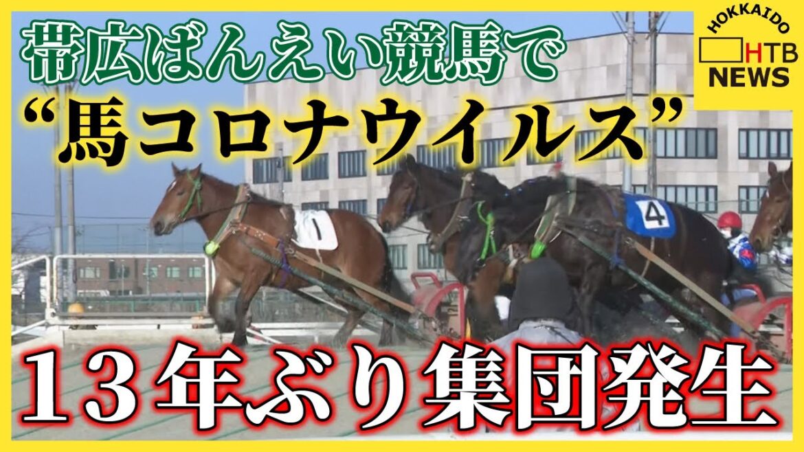 競争馬の発熱相次いでいた問題 症状重い８頭から“馬コロナウイルス” 13年ぶり集団発生　帯広ばんえい競馬