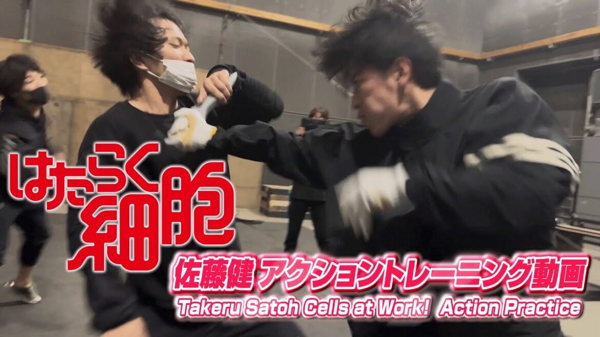 はたらく細胞　佐藤健アクショントレーニング動画 / Takeru Satoh Cells at Work!  Action Practice