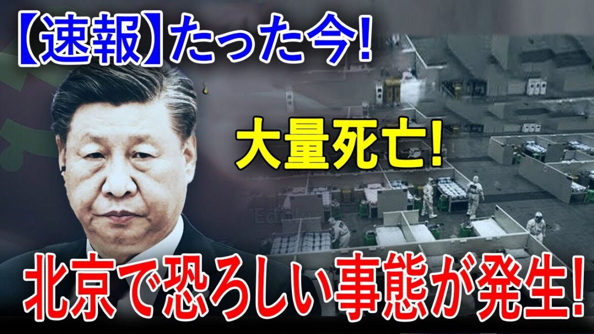 最新ニュース 2025年1月21日
