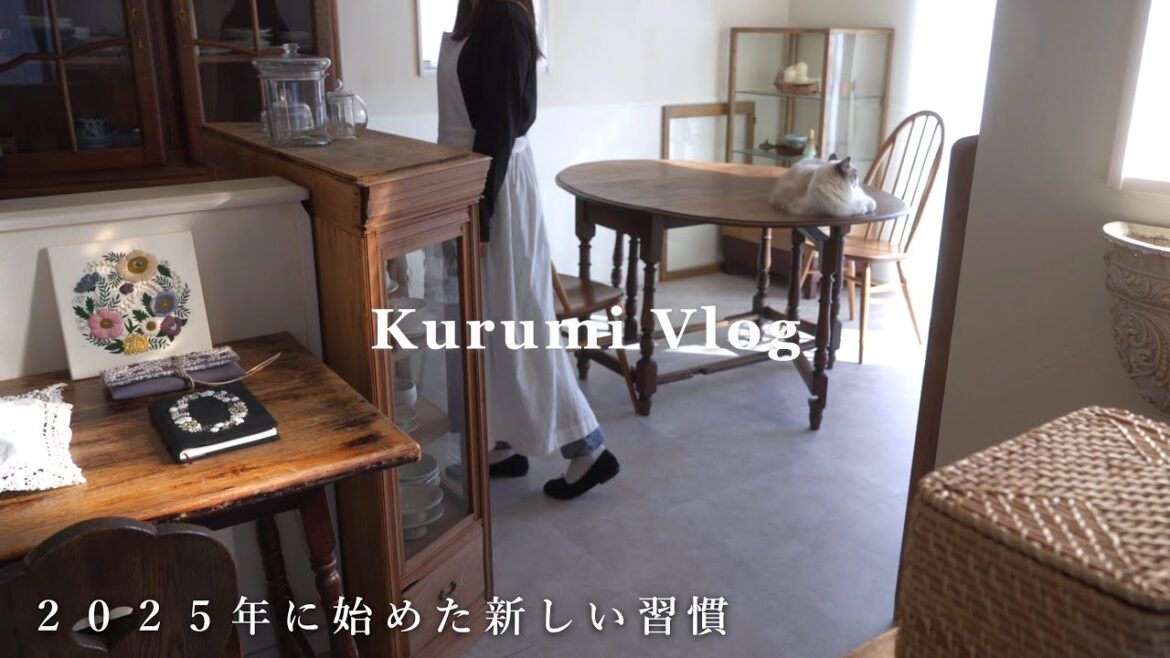 【暮らしが整う習慣づくり】2025年に始めた新しい習慣｜買い物後ルーティン｜カルディ購入品紹介、家計簿、刺繍、冬の庭｜主婦と猫の暮らし