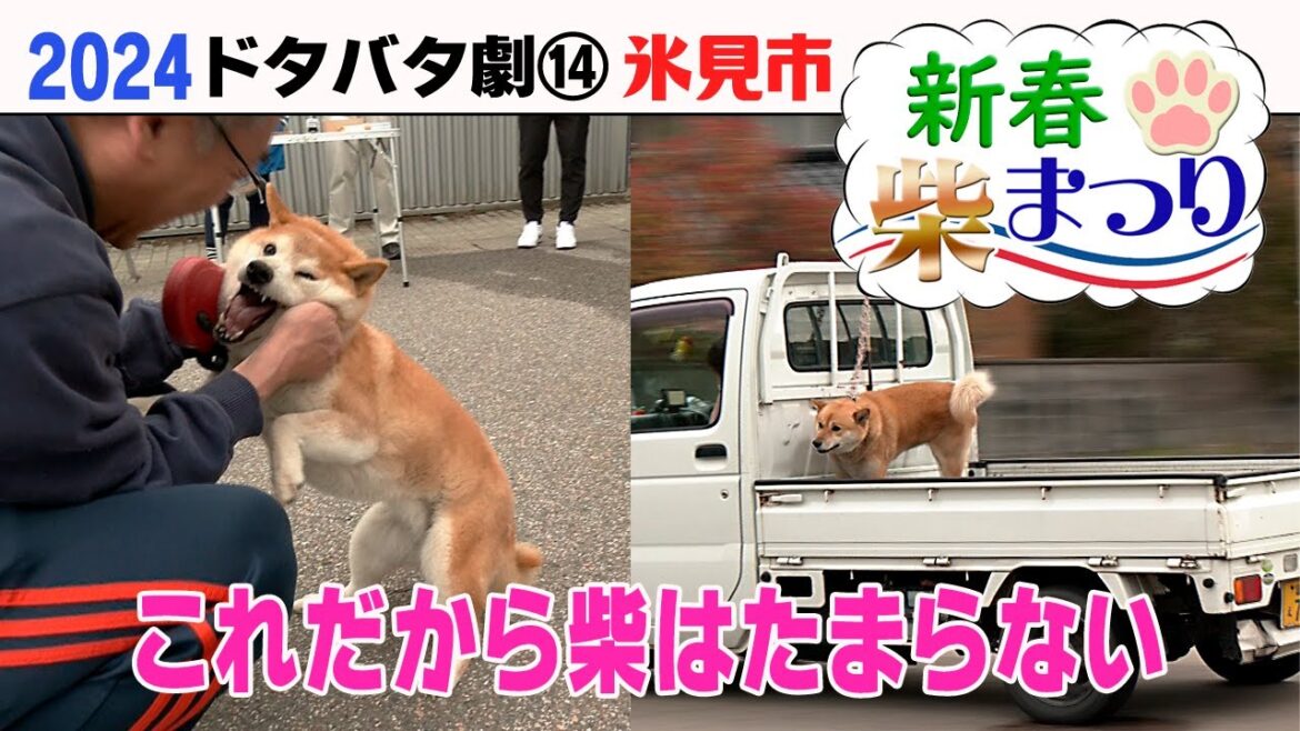 2024狂犬病予防注射会場のドタバタ劇⑭ 氷見市新春柴まつり