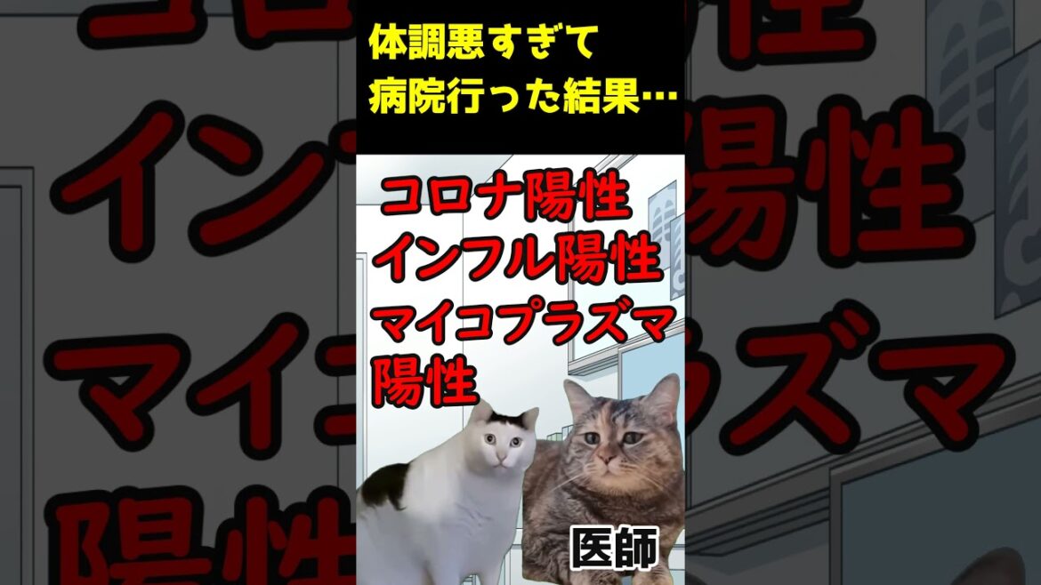 体調悪すぎて病院に行った結果#猫ミーム#猫マニ