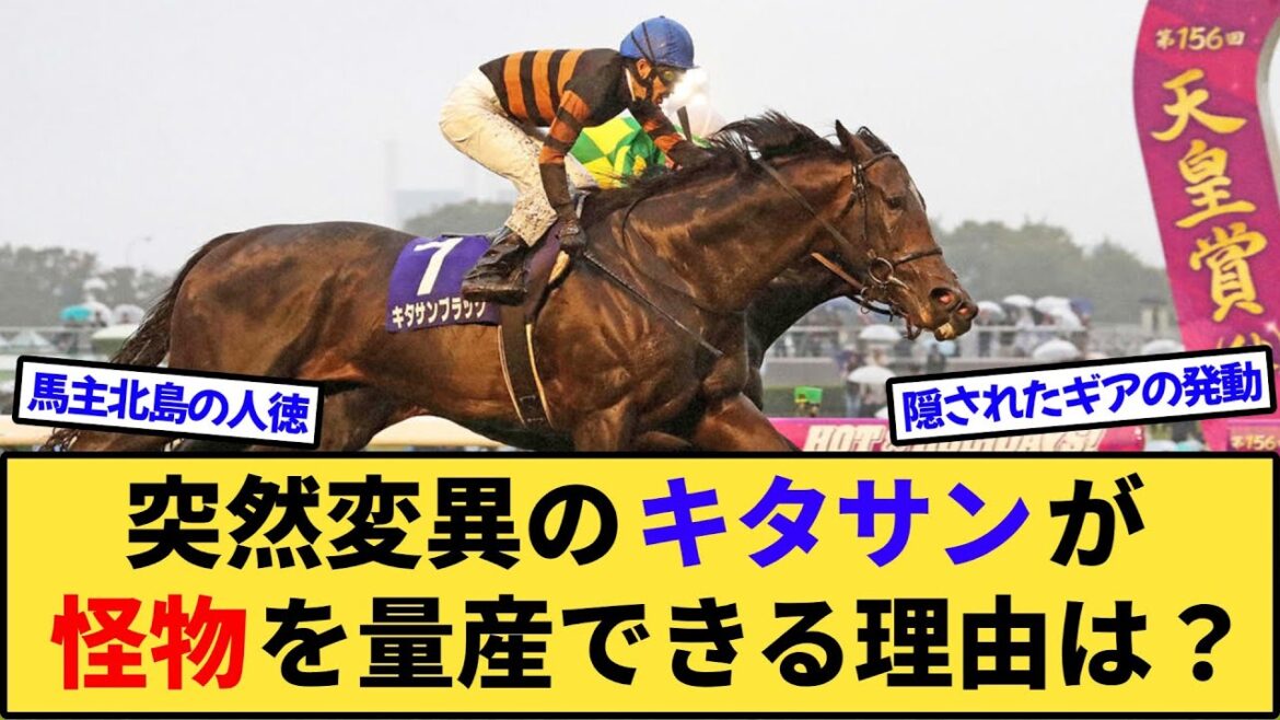 【競馬】なぜキタサンブラックのような突然変異の馬がポンポンと怪物を生み出せるのか？