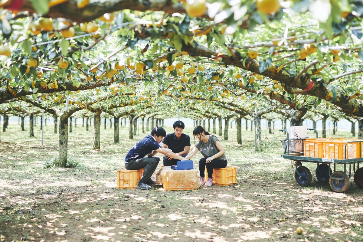 企業のSDGsは福利厚生でも推進できる