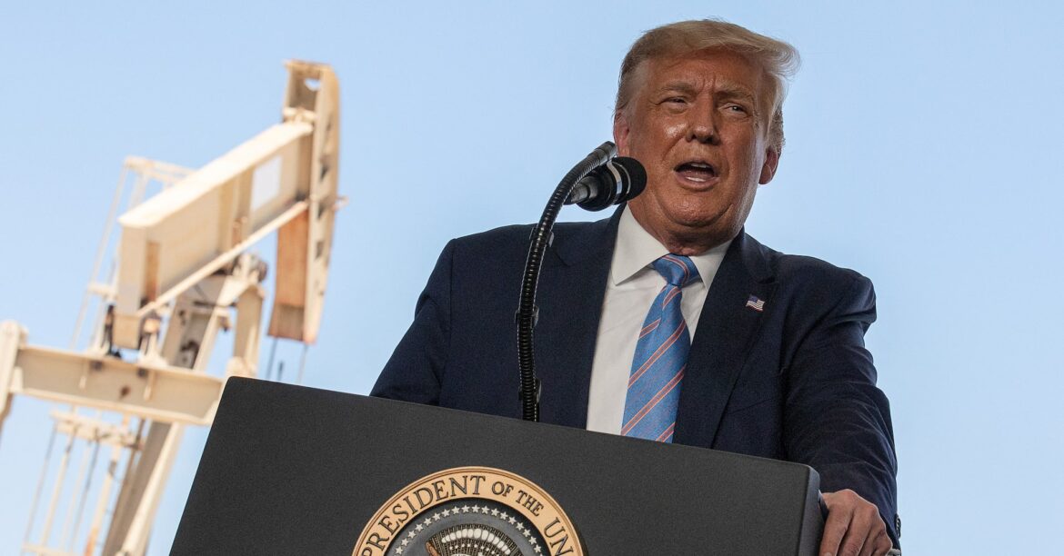 焦点:「債券自警団」復活か、トランプ氏の政策阻む可能性も | ロイター 焦点:「債券自警団」復活か、トランプ氏の政策阻む可能性も | ロイター