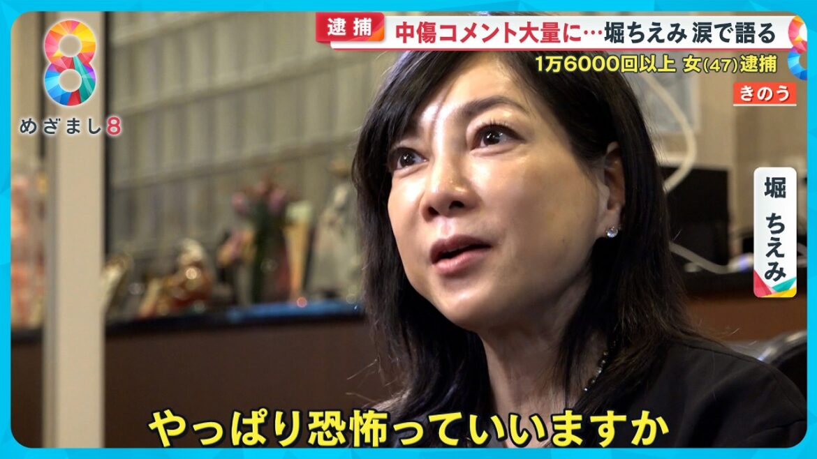 堀ちえみ涙の“告白”　ブログに中傷コメント1万6000回以上送った女逮捕「恐怖であり、苦しかった」【めざまし８ニュース】