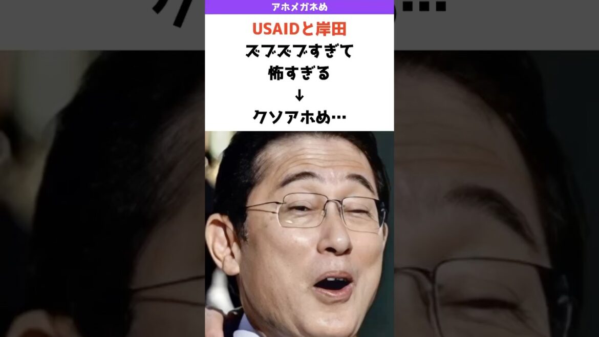 岸田文雄とUSAIDの関係が露骨すぎる