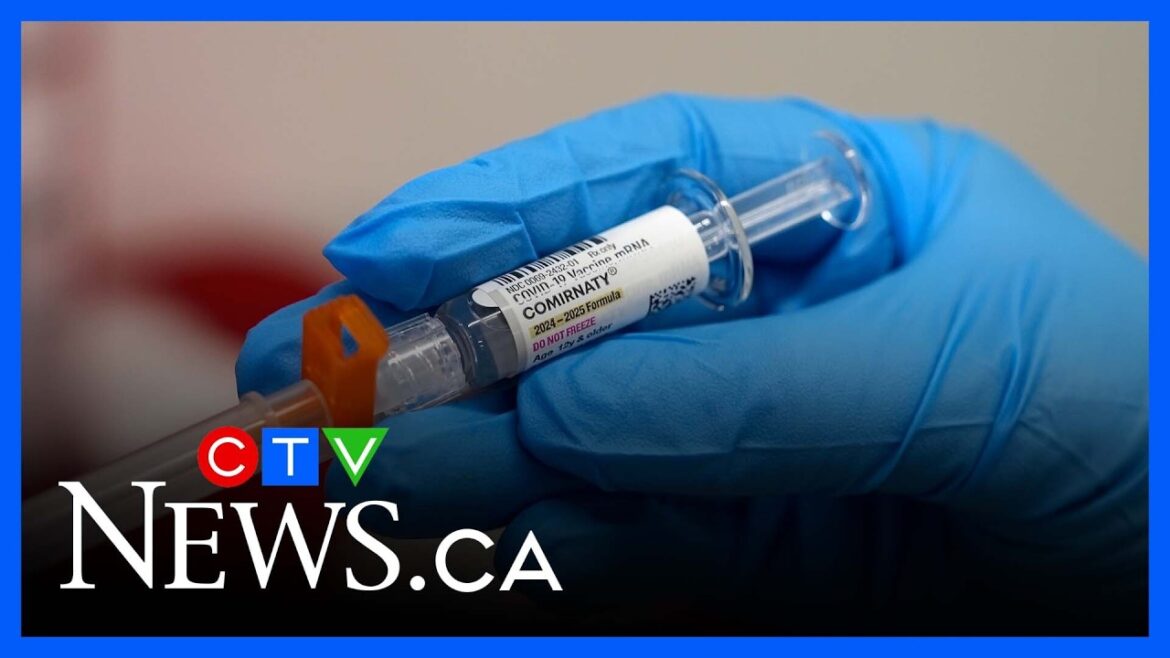 Alarm among doctors over report from Alberta advising halt of COVID-19 vaccinations Alarm among doctors over report from Alberta advising halt of COVID-19 vaccinations