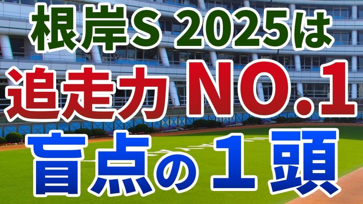 根岸ステークス2025 追い切り後【買いの1頭】公開！前走重賞組が低調な今年は波乱必至！？道悪＆ハイペースで激走する穴馬は？