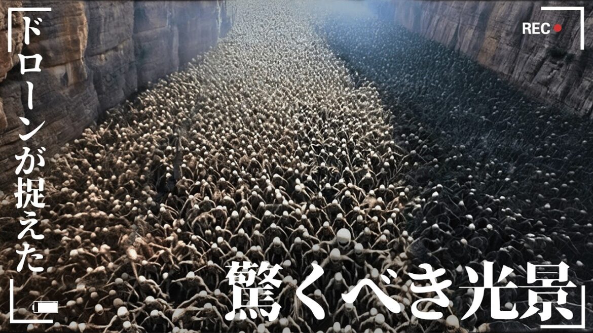 【衝撃映像】想像を絶する恐怖の発見、ドローンが捉えた山奥の戦慄の光景！失われた古代文明の痕跡を追う15の驚愕発見