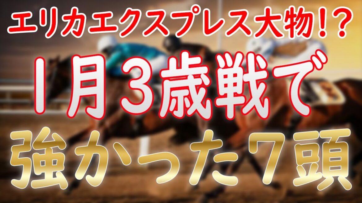 エリカエクスプレスは桜花賞候補!?1月の3歳戦で強かった7頭総まとめ！【POG24-25】