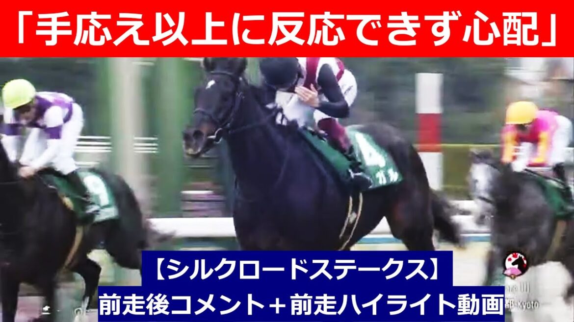 推奨馬⑤頭！【シルクロードステークス　2025】前走後騎手コメント＋過去レースハイライト