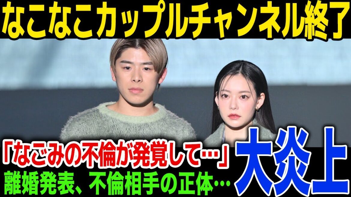 【驚愕】なこなこチャンネル終了、まさかの終了理由…なごみの浮気の噂、離婚発表...明かされた今後の活動内容に一同驚愕！