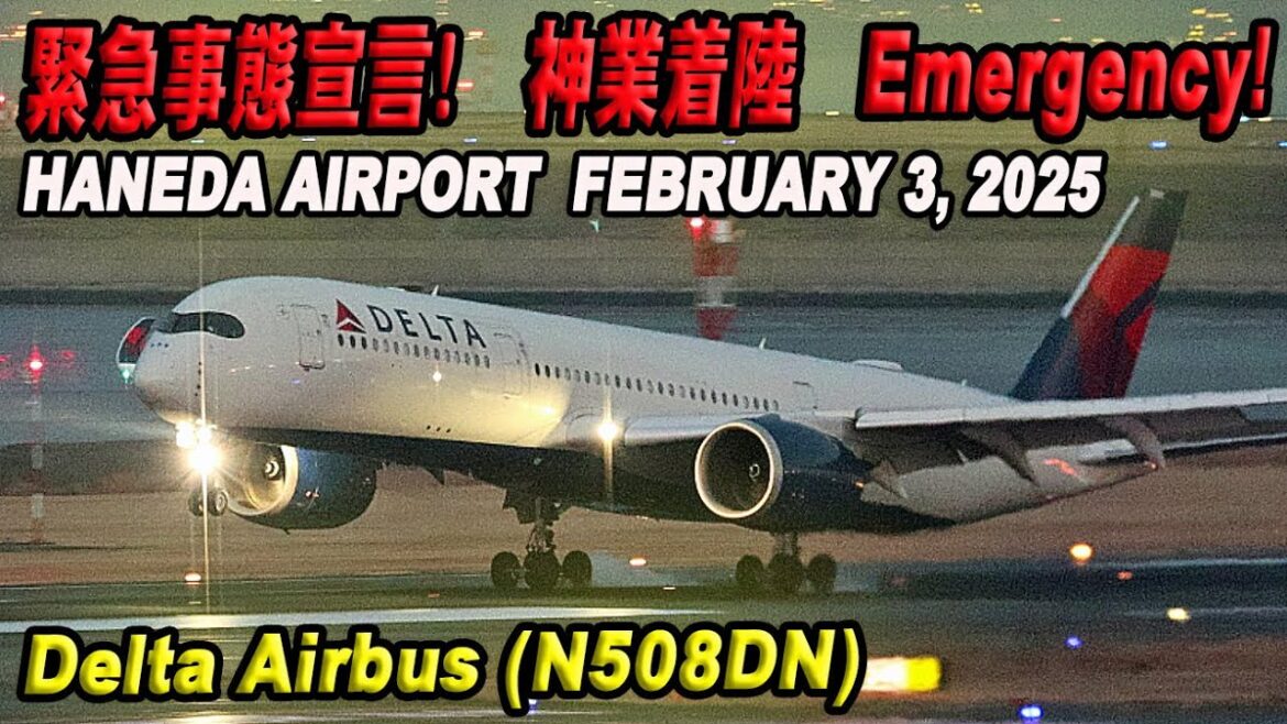 Emergency! 緊急事態宣言!神業着陸 Delta Airbus (N508DN) Low front tire pressure  前輪タイヤ空気圧低下 Emergency! 緊急事態宣言!神業着陸 Delta Airbus (N508DN) Low front tire pressure  前輪タイヤ空気圧低下