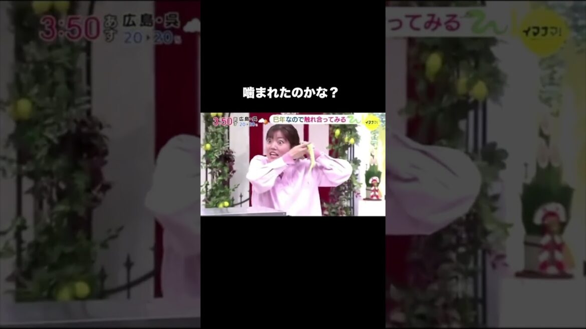 【替え歌】実際に起きた放送事故15#ほーみーず  #あるある  #珍事件  #放送事故  #替え歌