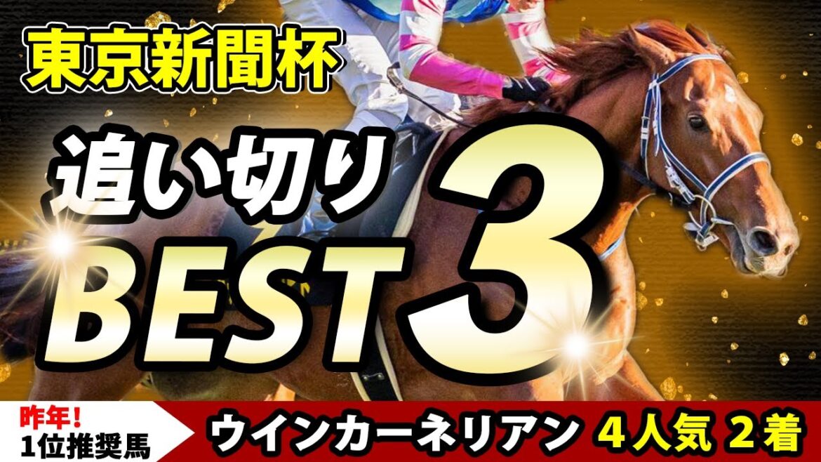 東京新聞杯 2025【追い切りランキングBEST3公開】1位推奨は勝負気配漂うアノ馬一択！